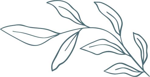 leaf2